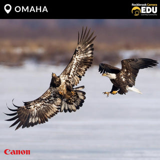 OMAHA: Canon Birding Workshop