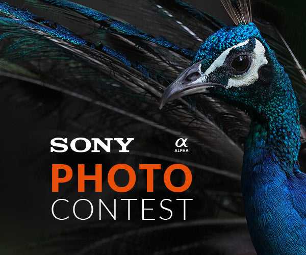 Sony Photo Contest with Image of Peacock