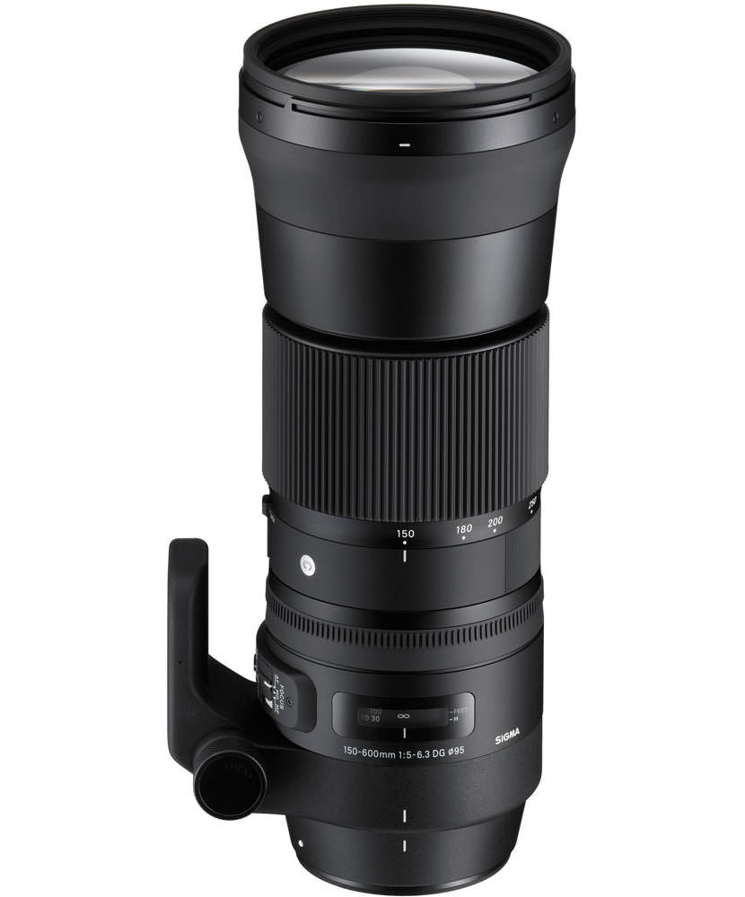 Sigma 150-600mm f/5-6.3 DG OS HSM Contemporary Lens Nikon F | Rockbrook  Camera